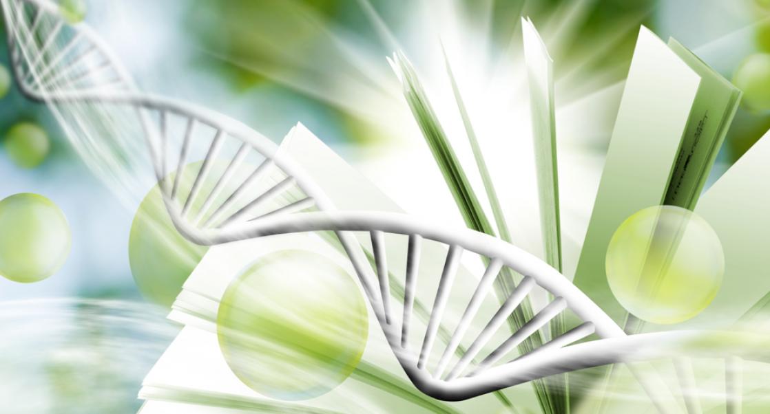 1 in 800 Million: A DNA tool that Screens Compounds in A Big Way