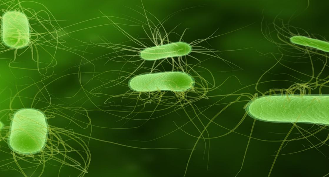A Tough Drug for a Tough Bug