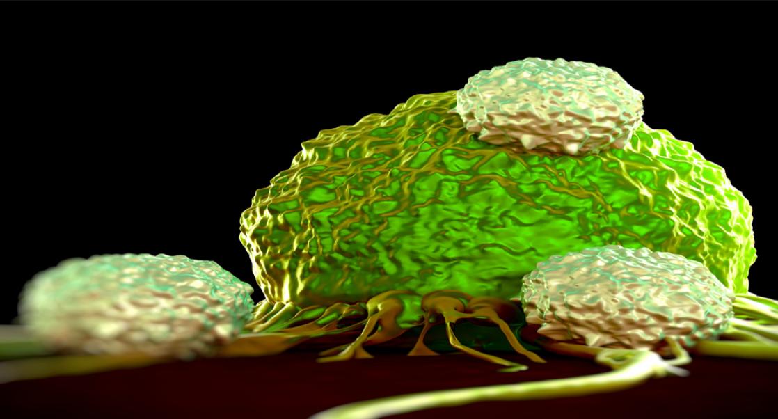 Using T Cells to Beat the Big C