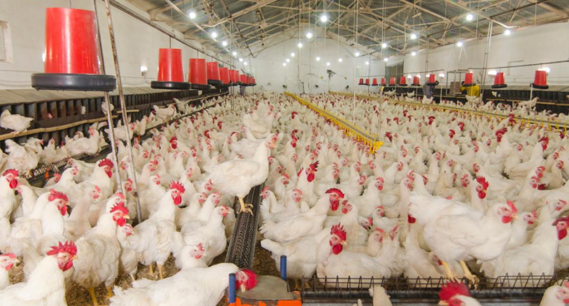 What's Hot in 2020: Antimicrobial Resistance