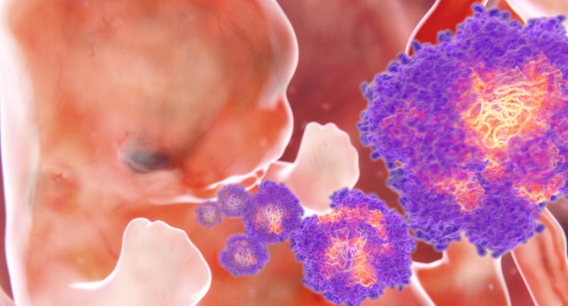 Biting Questions about Zika Models