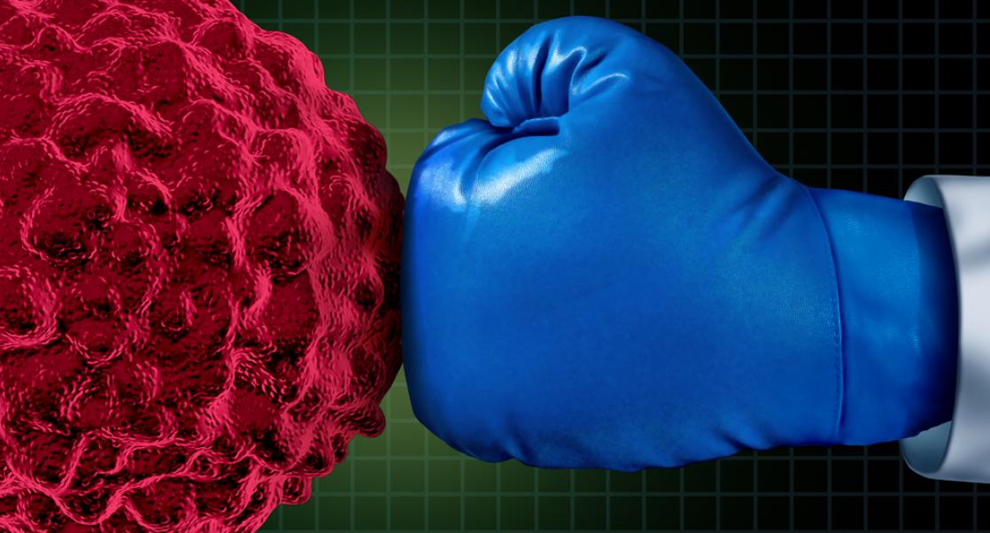 Protein Degraders, the Newest Players in Targeted Cancer Therapy