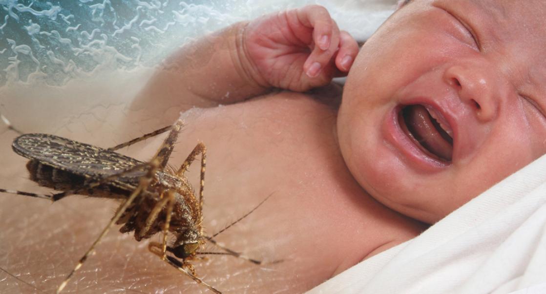 The Zika Funding Trap