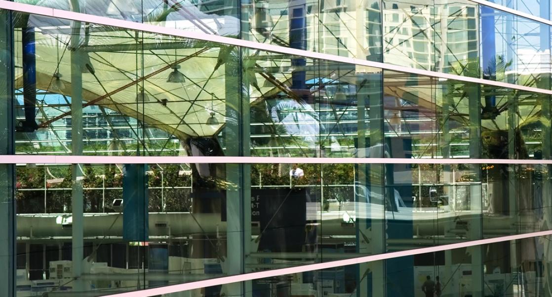 A Window to Being a Scientist