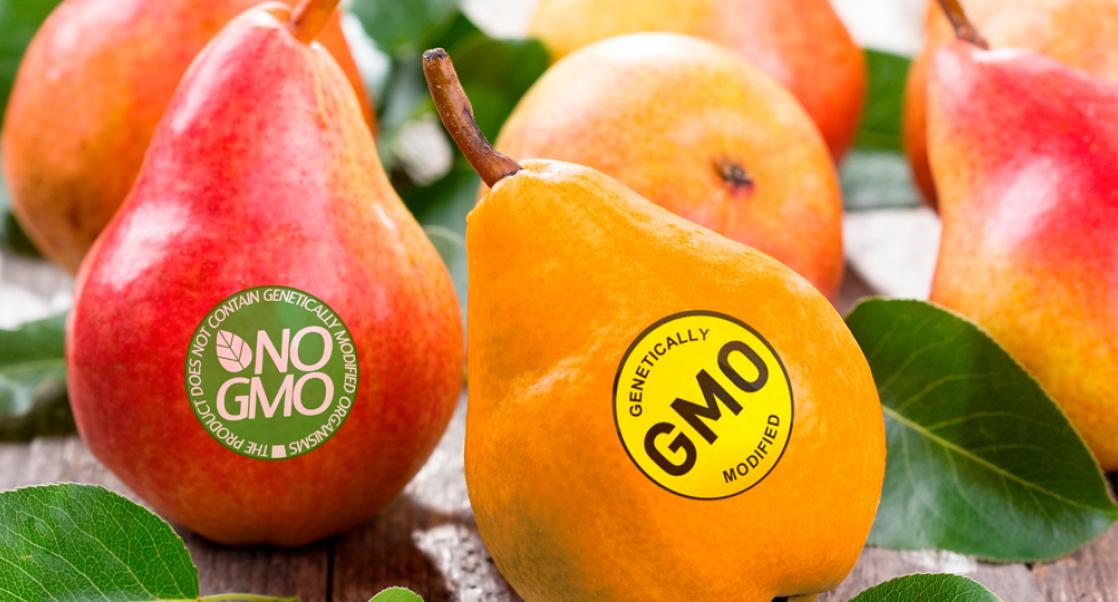 GMO Regulations Stymie Food Testers (Abstract Science July 20-26)