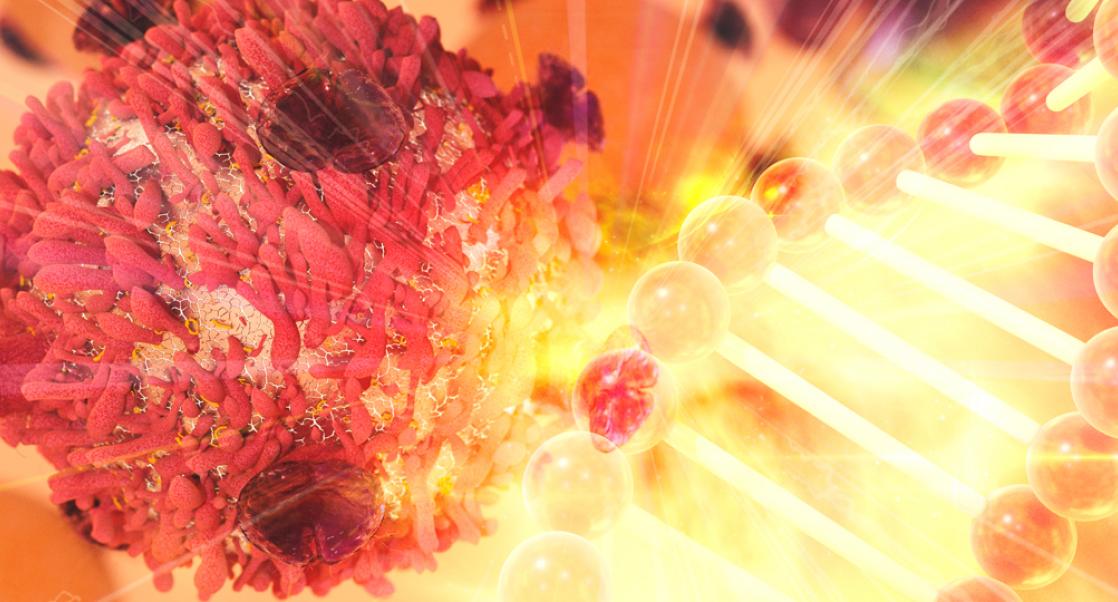 Nobel to Scientists Pioneering Cancer Immunotherapy