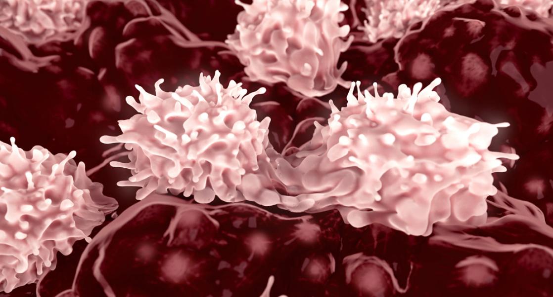 Stem cells being reprogrammed into different kinds of cells for medical research