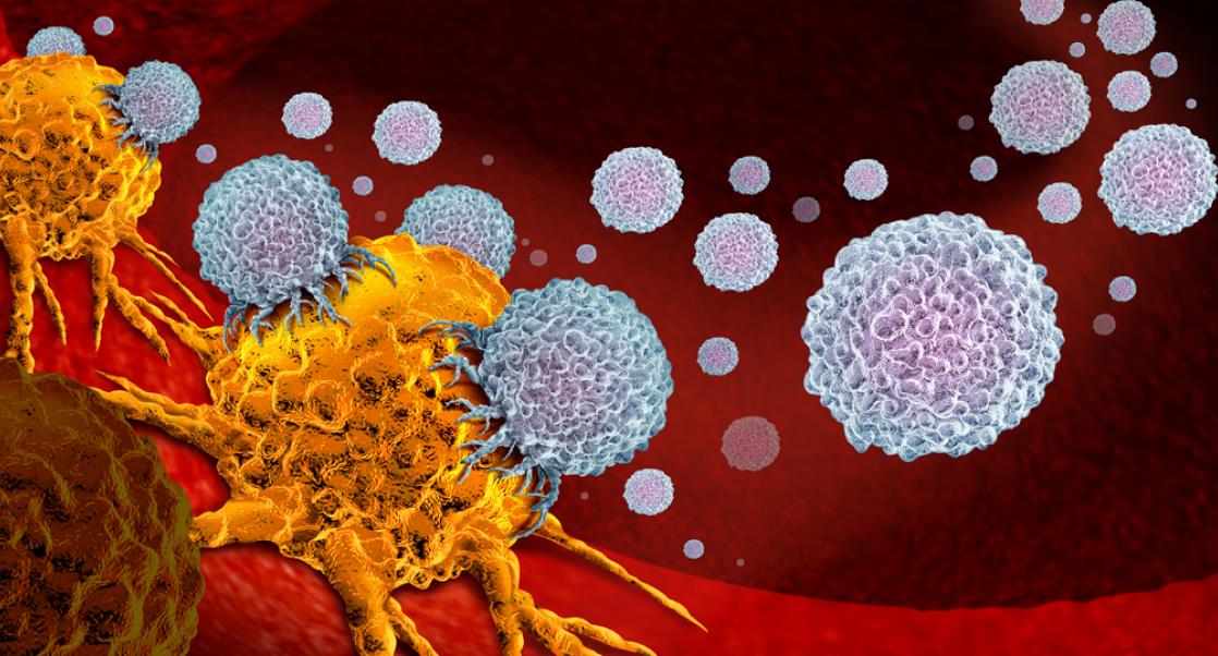 Emerging Strategies in the Mesothelioma Fight