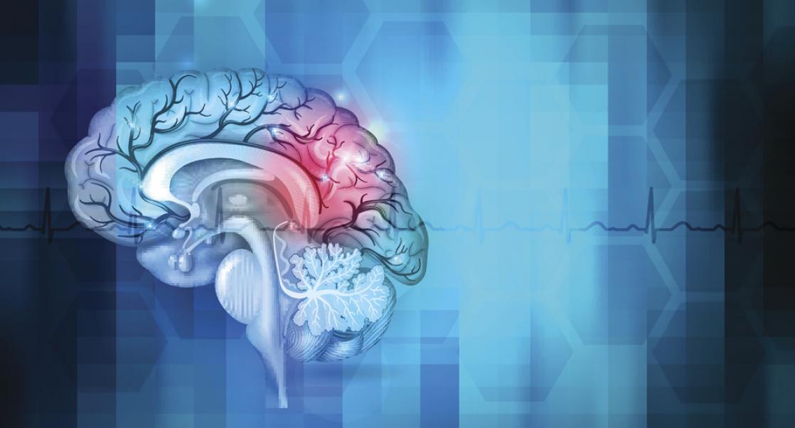Cancer's Route to the Brain  (Abstract Science, Sept. 14 - 21)