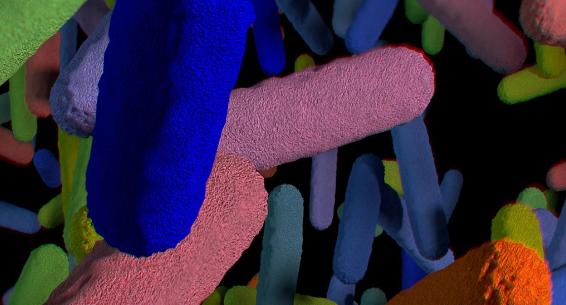 The Science Behind Microbirth
