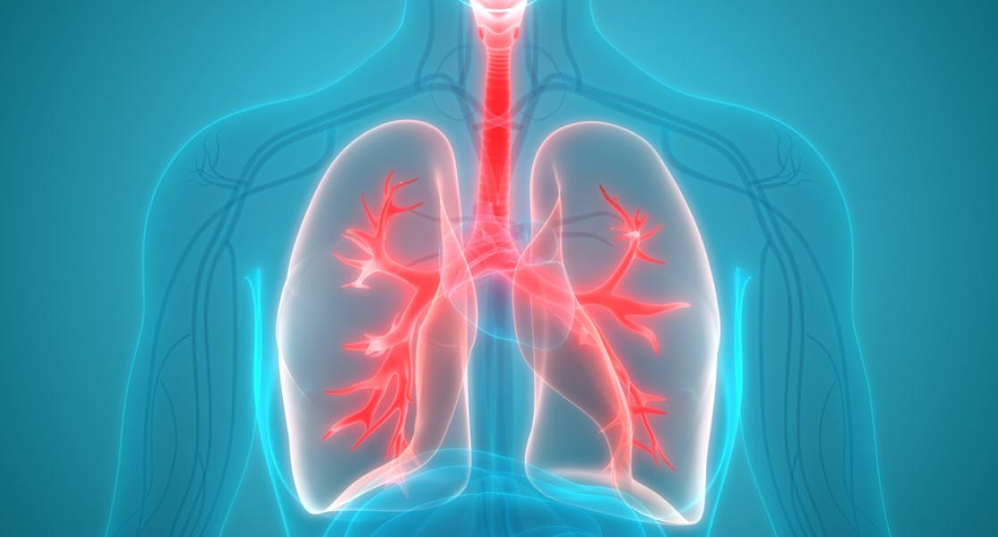 The Year in Mesothelioma: One Step Forward, One Step Back