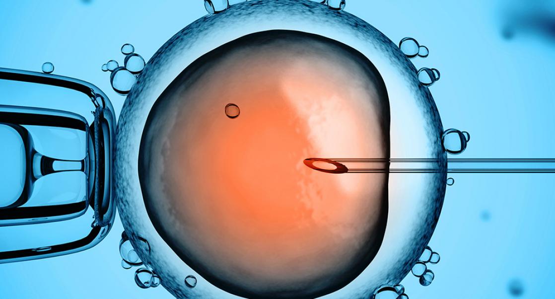 A Controversial Infertility Tool (Abstract Science: Sept. 26-30)
