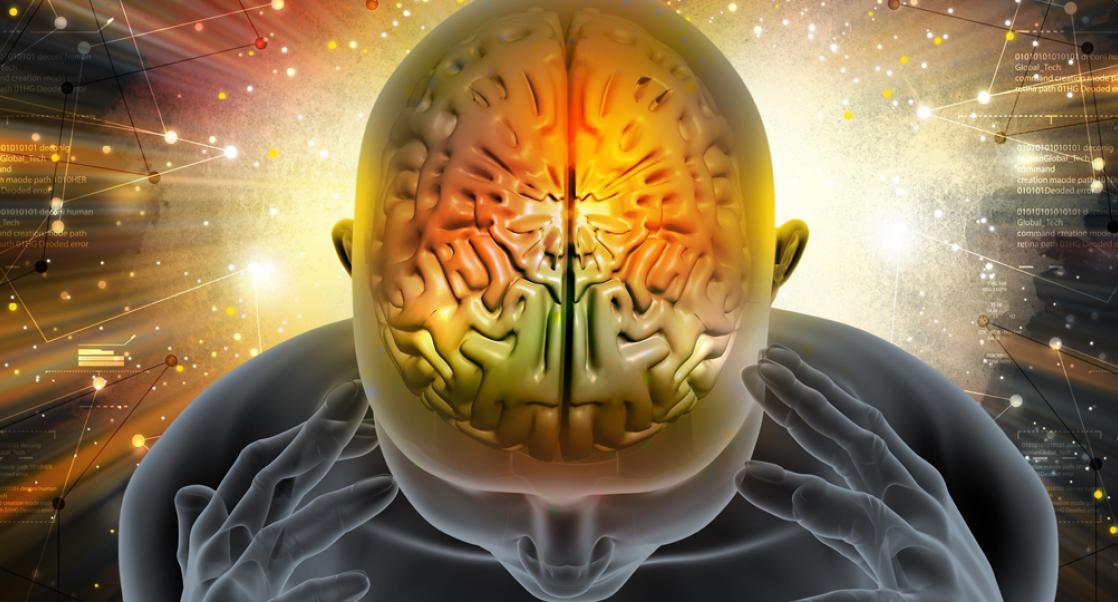 E17: Gray Matters: Neuroinflammation