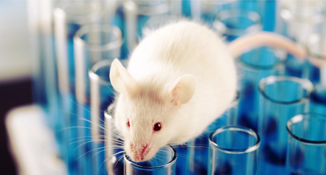 Fewer Mice, Better Results