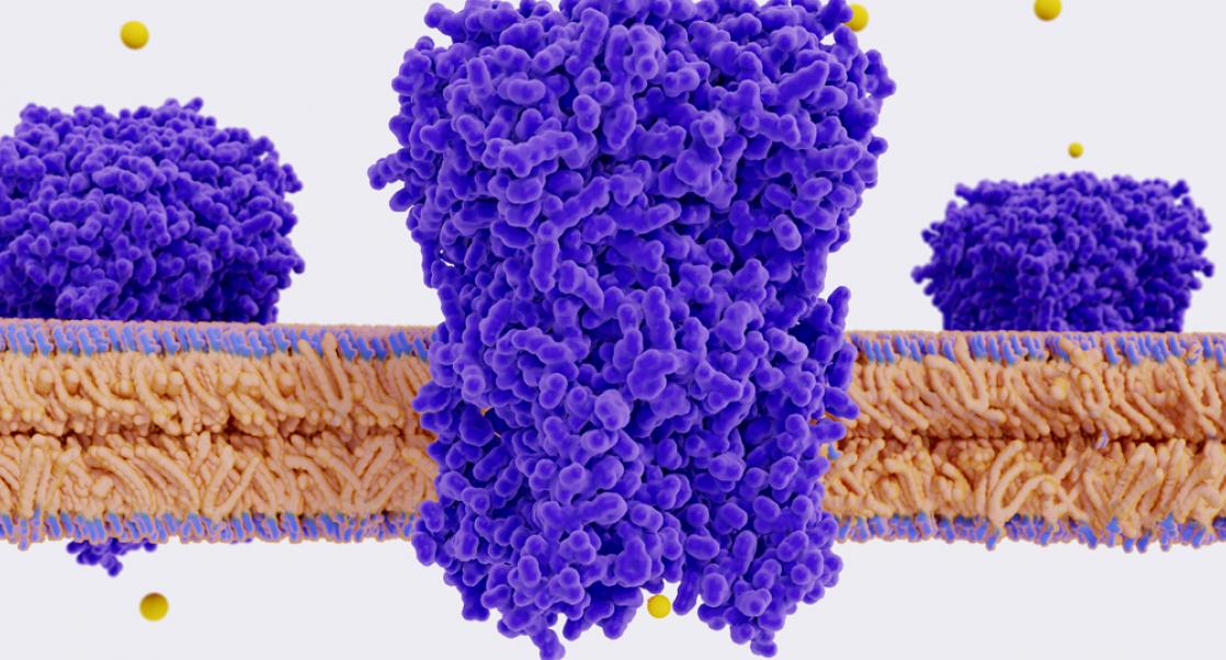 Neuroscience 2019: Eye on Ions