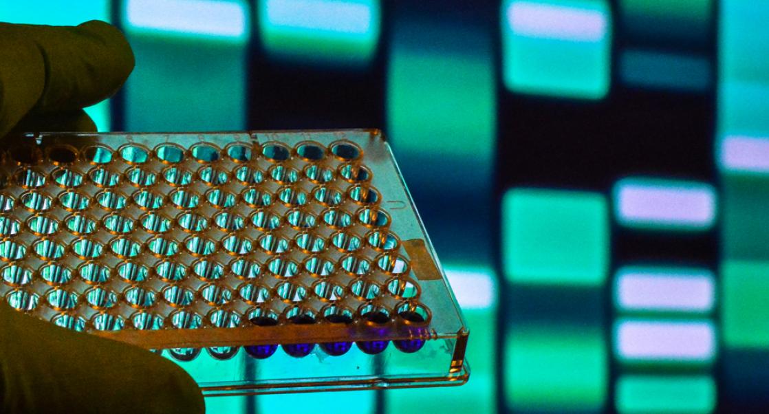 The Stars of Single Tandem Repeat