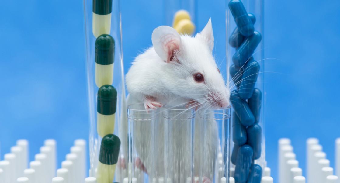 Between 3Rs: Microsampling and the EOGRTS
