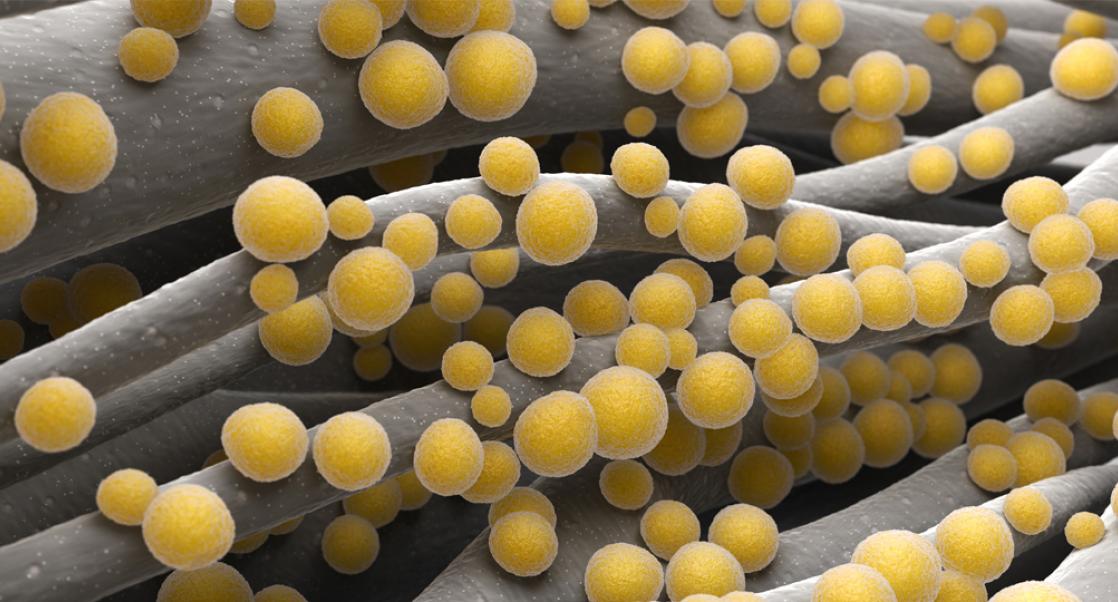 The Antibiotic that Can Beat MRSA