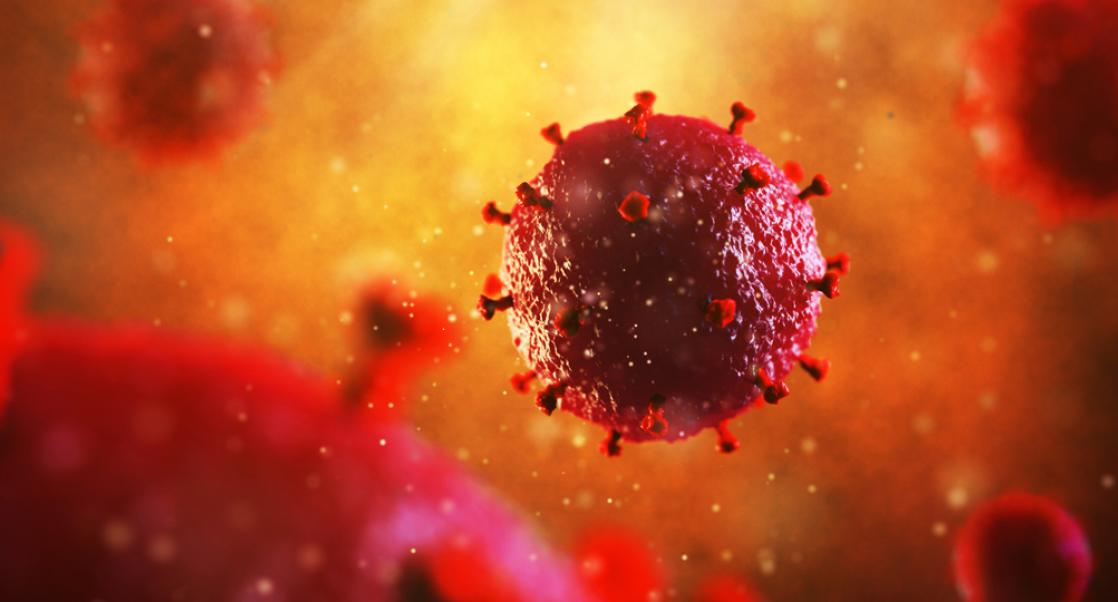 AIDS and Animal Models