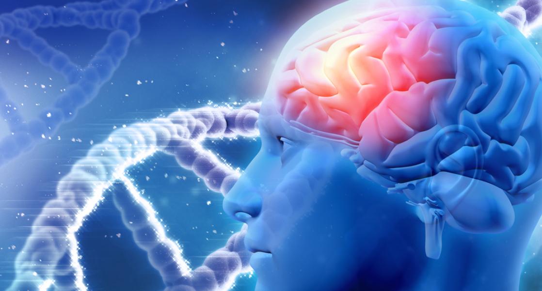 New Directions in Dementia Research (Video)