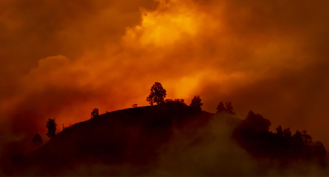 Carbon Emissions from Australia Firestorm (Abstract Science, Jan. 12 - 18)