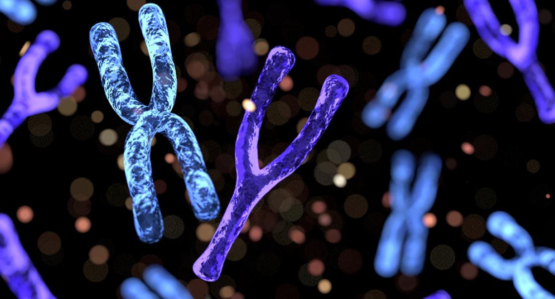 Antisense Therapies and Angelman Syndrome