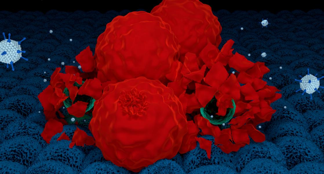 Oncolytic Viruses: A New Class of Cancer Immunotherapy