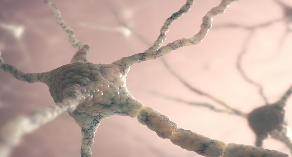 What's Hot in 2019: New Uses for Old Tools in CNS Research