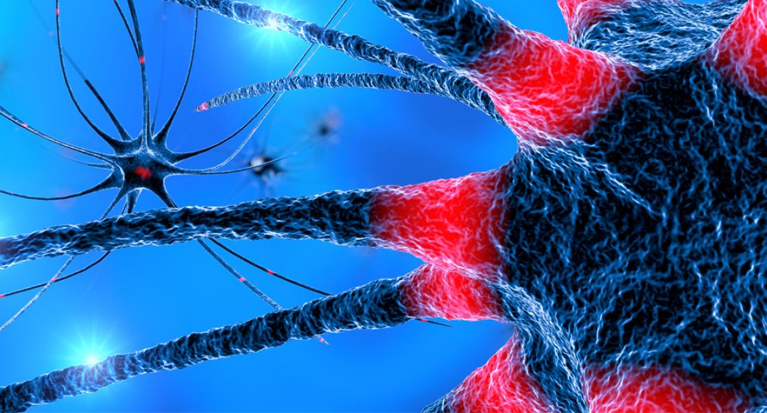 Spotlight on Parkinson's (Video)