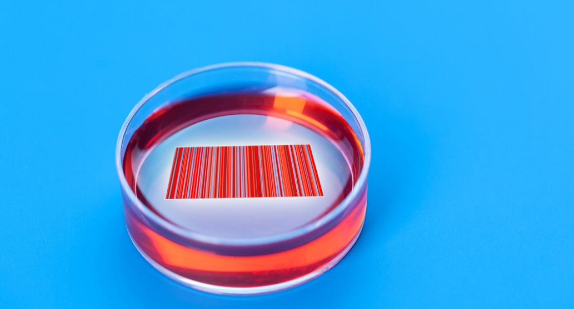 A Good Measure for Good Cell Banking