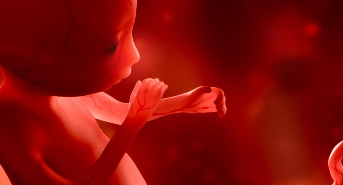 A Groundbreaking Fetal Brain Study