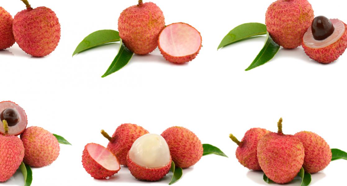 Dangerous Fruit, Zika Vaccines (Abstract Science:  Jan. 30-Feb. 3)