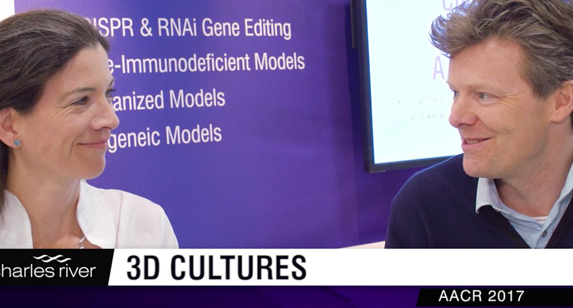 The World of Cells in 3D (Video)