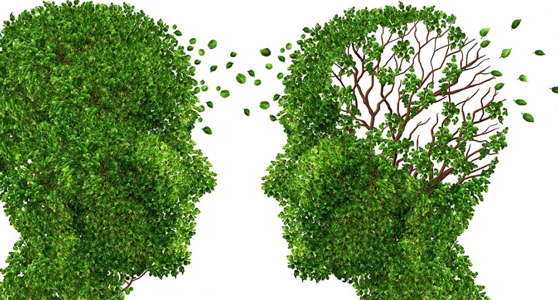 Ancestry and Alzheimer's