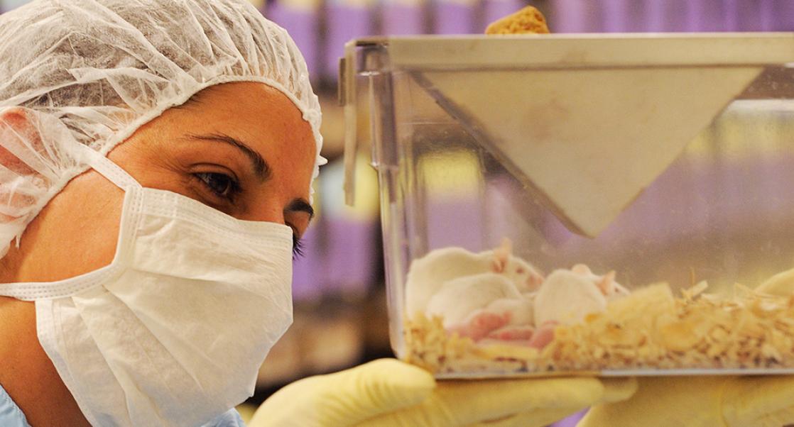 Mice No Longer Out in the Cold