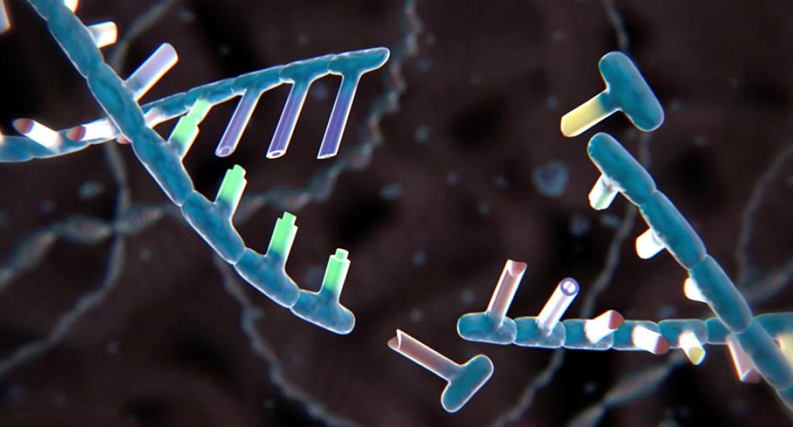 Cut and Paste (Video)