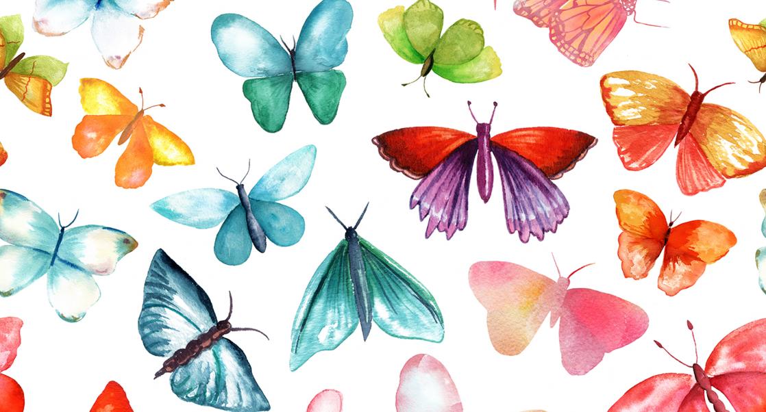 Stomach Butterflies, Fountain of Youth (Abstract Science: Feb. 20-24)