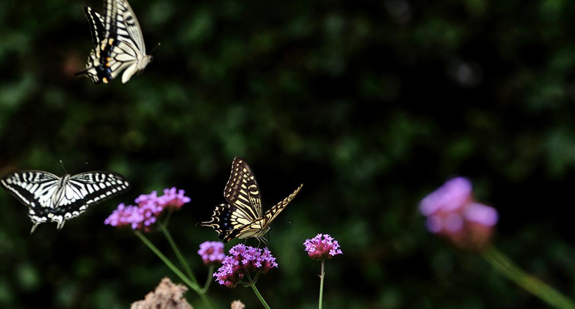 Abstract Science: Aug. 10-14