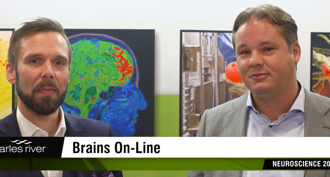Capturing Brain Molecules in Cellular Space (Video)