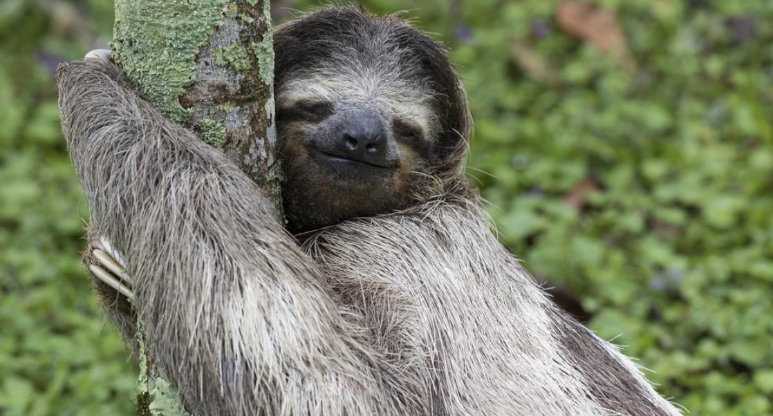 Benefits of Hugging, Sexual Harassment & Health (Abstract Science: Oct. 1-5)