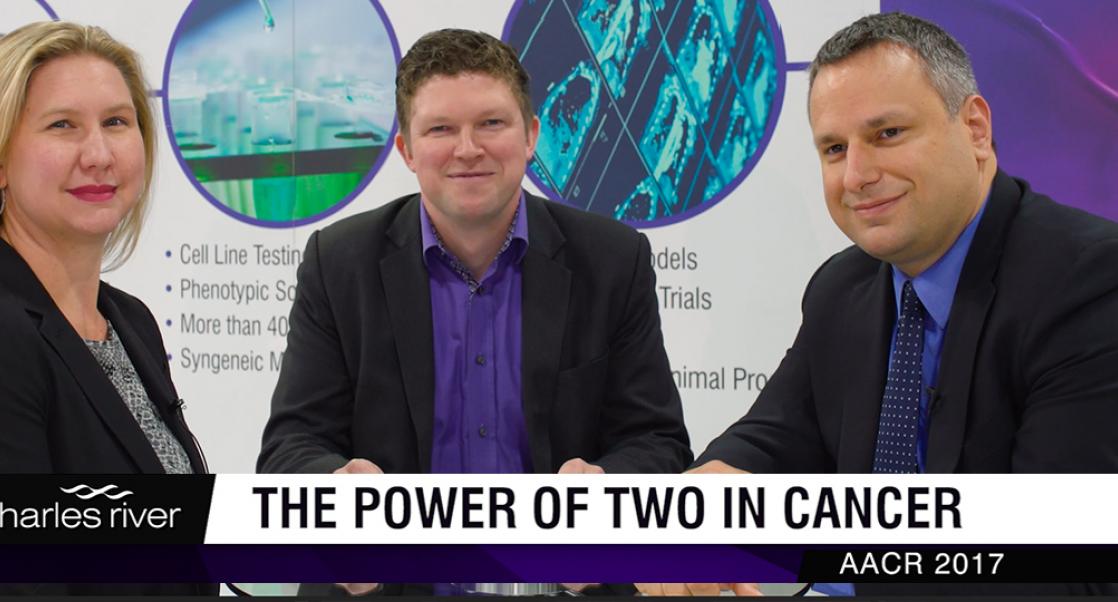 Combining Forces for a Bigger Win (Video)