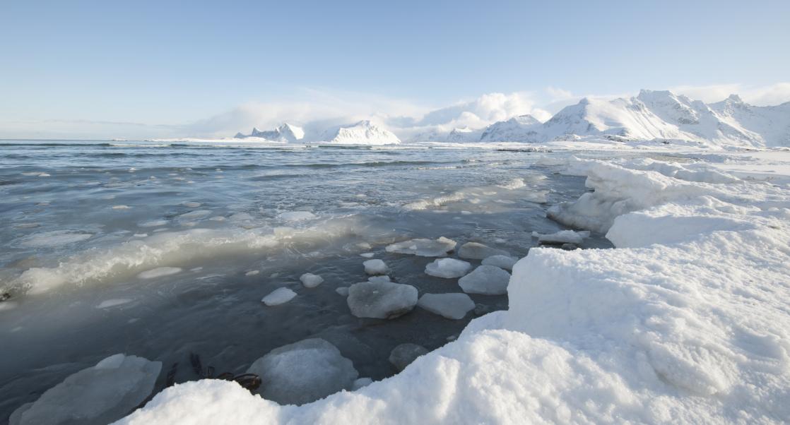 Arctic SOS, Cancer’s Germ Foe (ABSTRACT SCIENCE: FEB. 6-10)