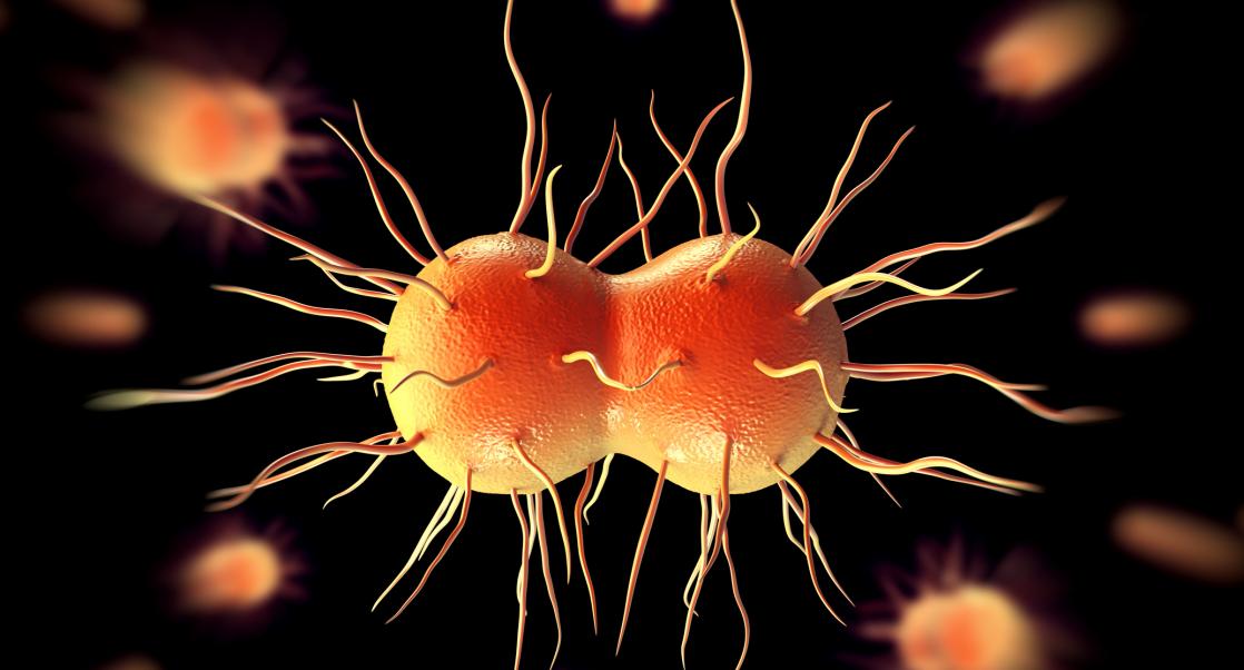 New Human Organ, Super Gonorrhea (Abstract Science: March 26 - 30)