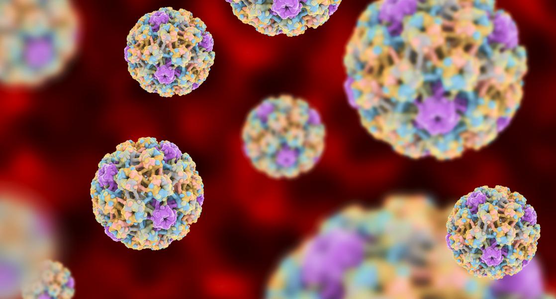 HPV Rates, Brain-Attacking Antibodies (Abstract Science: August 20 - 24)