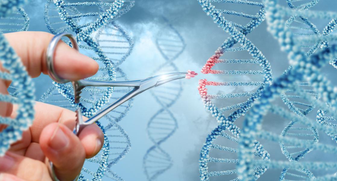 Gene Editing Tools, Reversing Diabetes (Abstract Science: Nov. 13– 17)