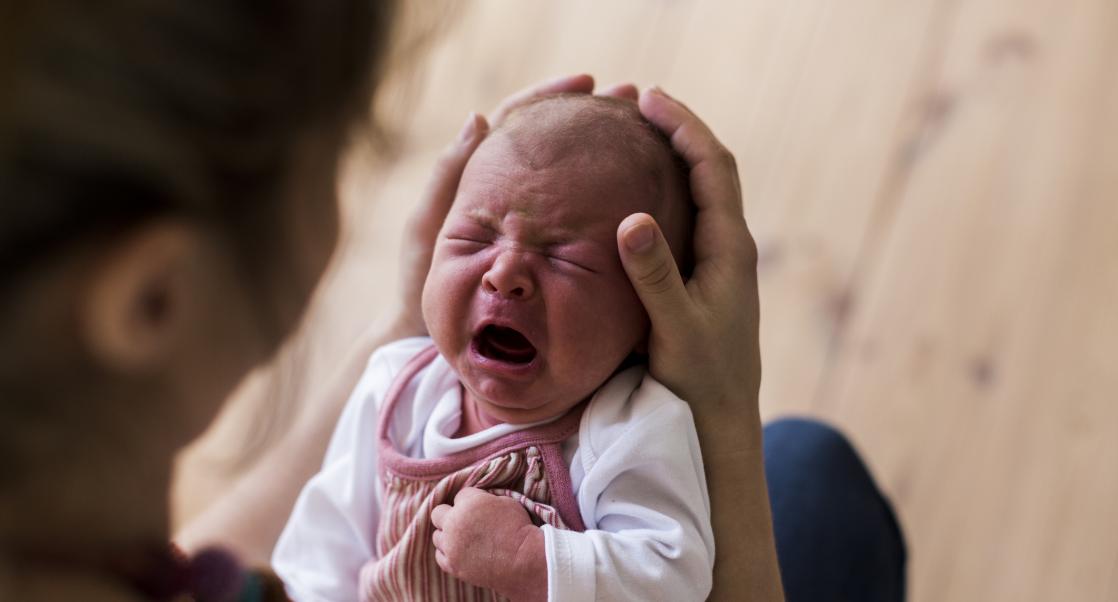 Identifying Tick Bites, Predicting Voice Pitch (Abstract Science: July 9 - 13)