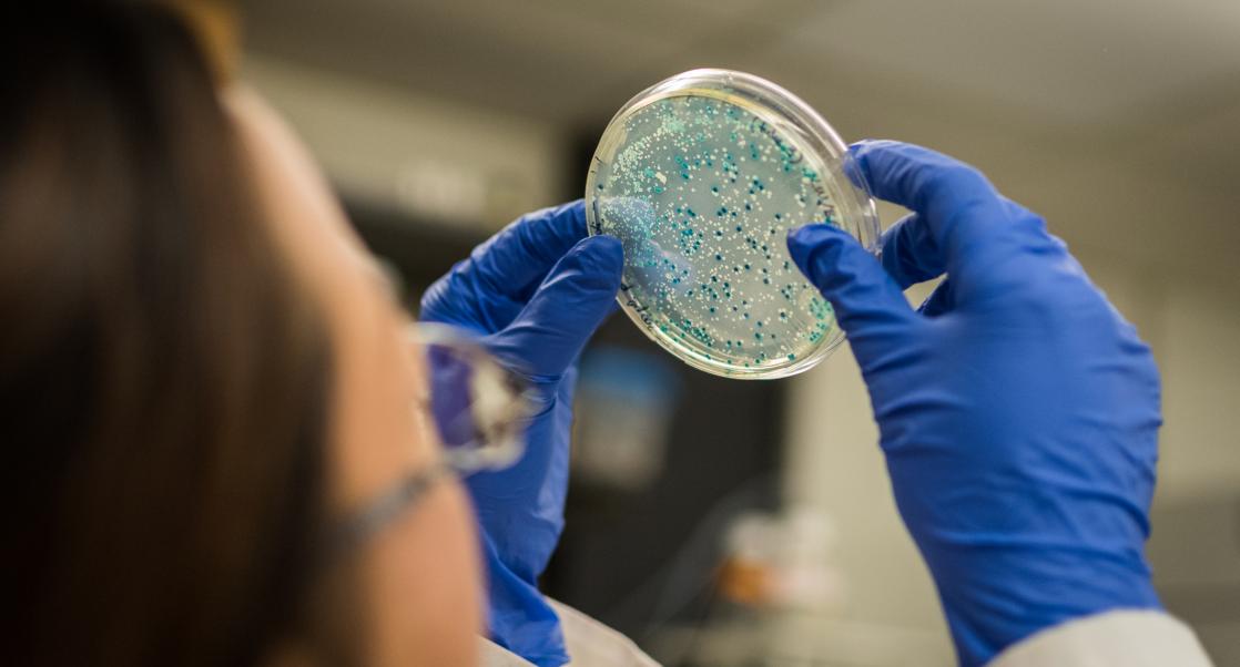 A Poisoned Cure? (Abstract Science, May 31 - June 6)