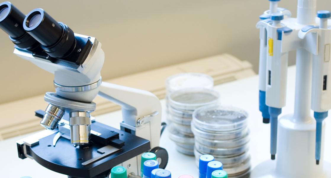 Toxicologic Pathology: Past, Present and Future