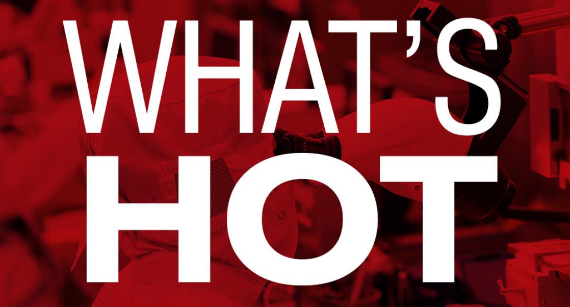 What's Will be Hot in 2017 in Research Models & Services?