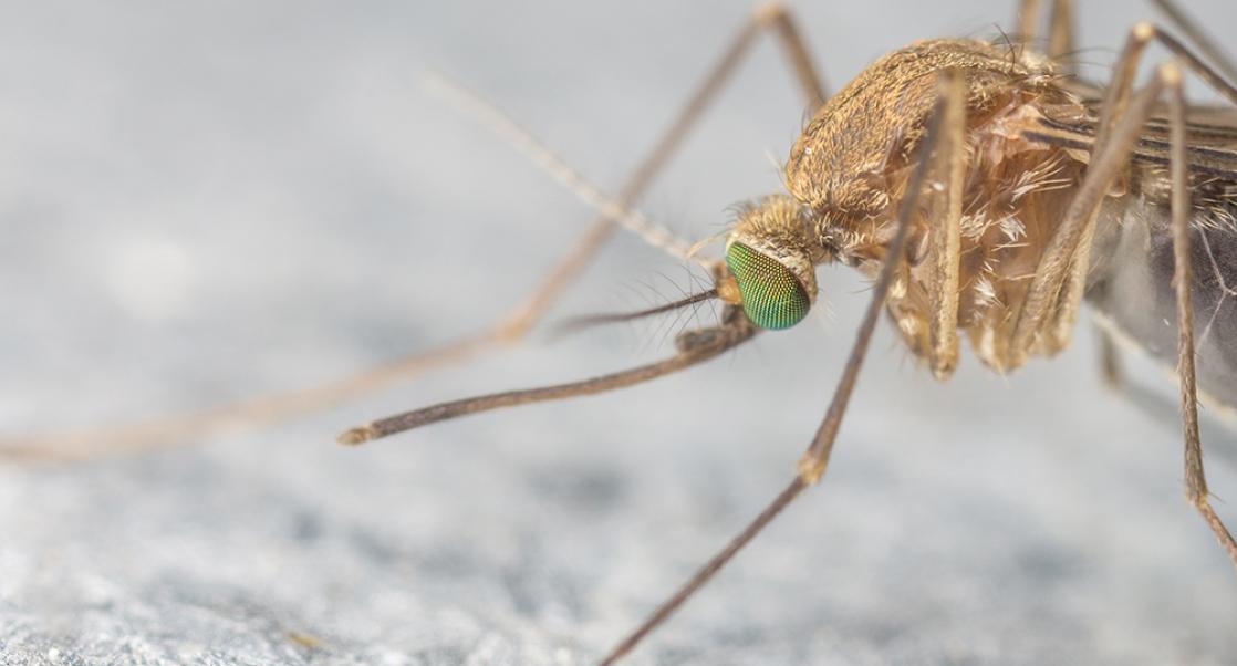 Abstract Science: Jan. 25-29